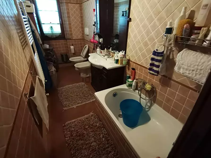 Immagine 2 di Casa colonica in vendita  a Palaia