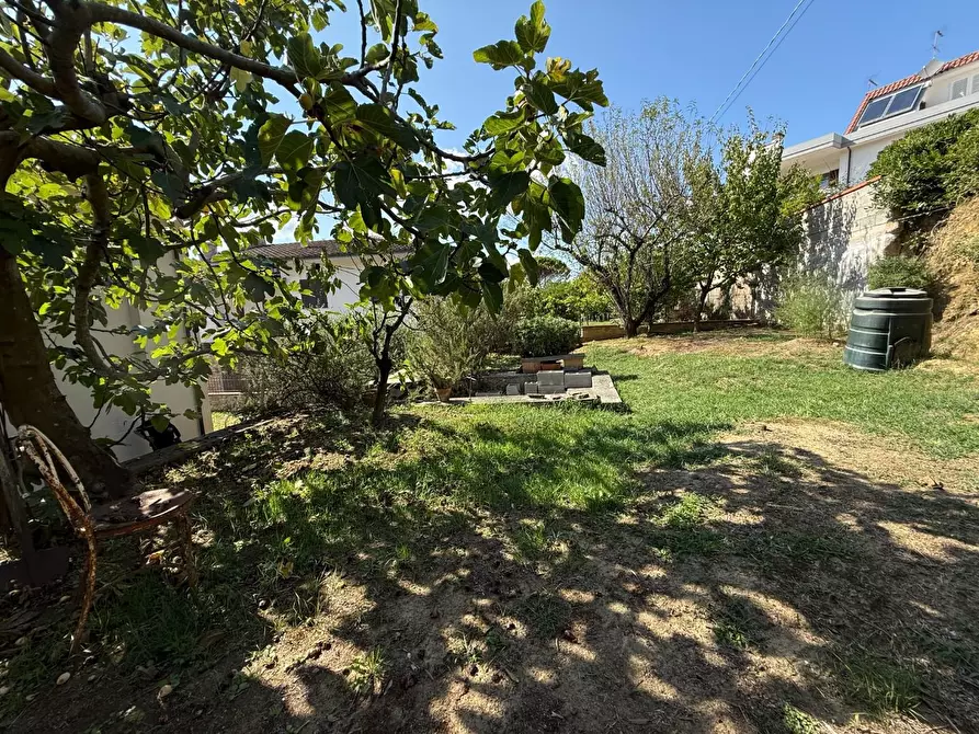 Immagine 5 di Villa in vendita  a Casciana Terme Lari