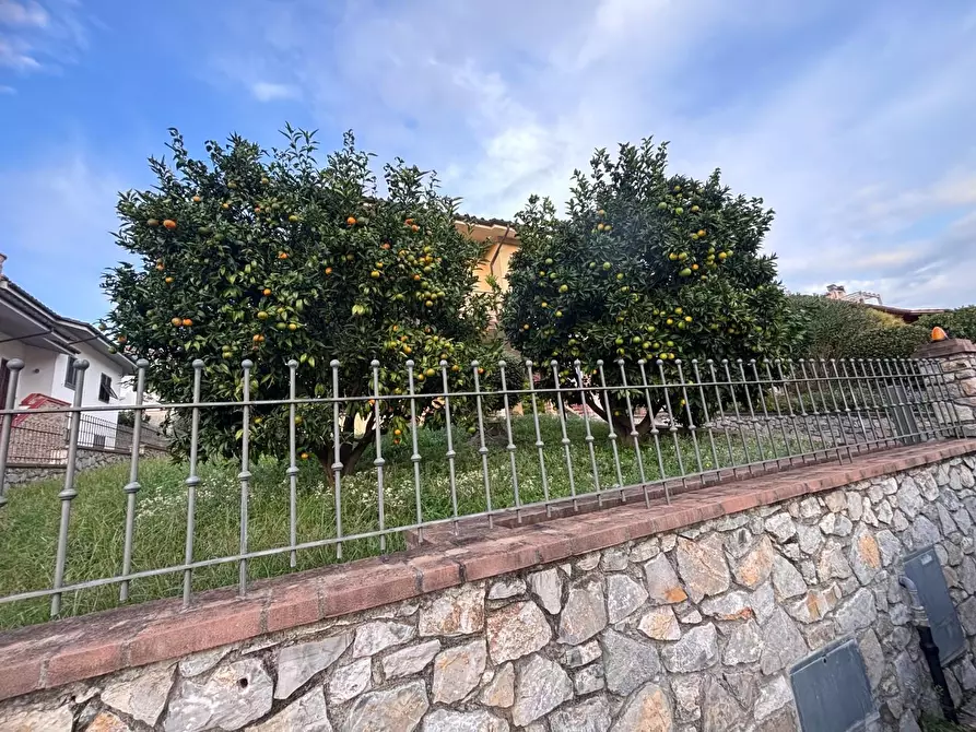 Immagine 15 di Villa in vendita  a Casciana Terme Lari