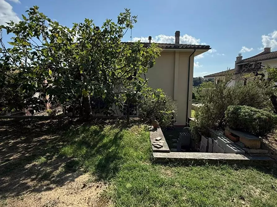 Immagine 6 di Villa in vendita  a Casciana Terme Lari