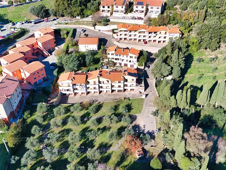 Immagine 26 di Appartamento in vendita  a Campiglia Marittima