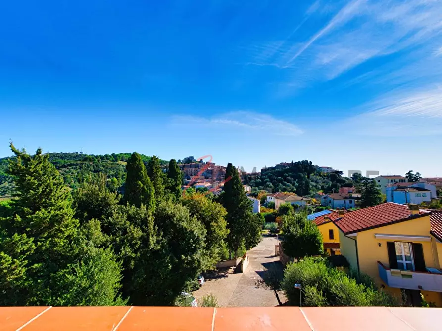 Immagine 22 di Appartamento in vendita  a Campiglia Marittima