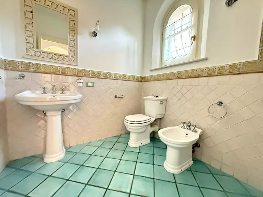 Immagine 21 di Villa in vendita  a Massa