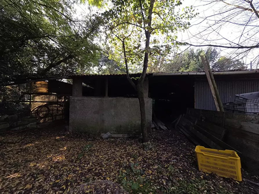 Immagine 9 di Terreno residenziale in vendita  a Capannori