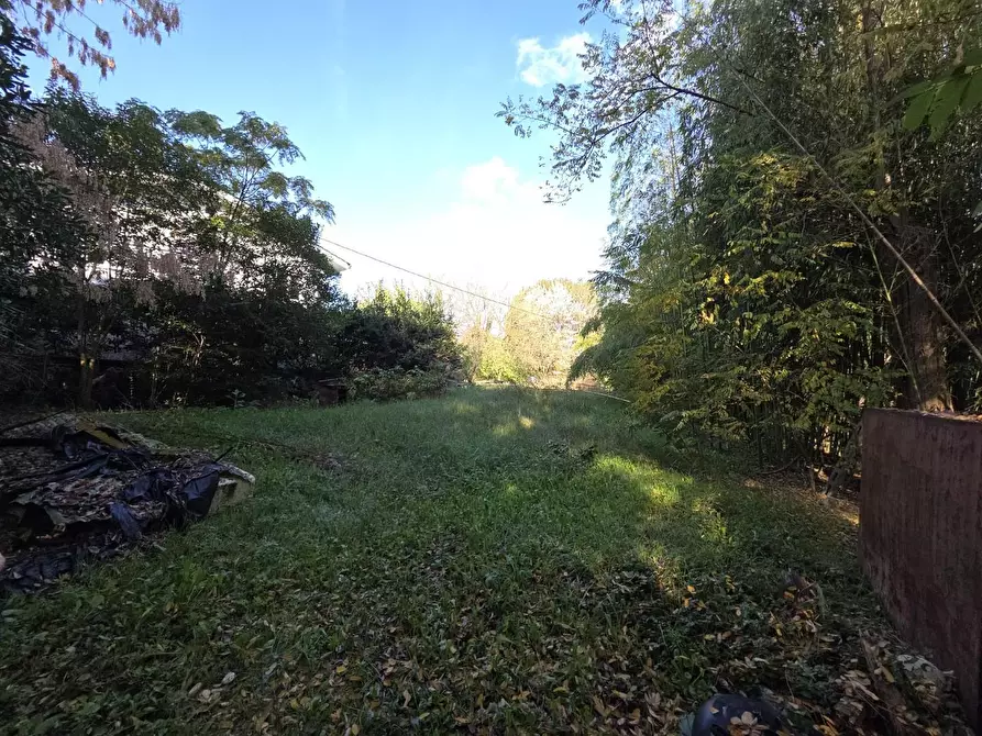 Immagine 4 di Terreno residenziale in vendita  a Capannori