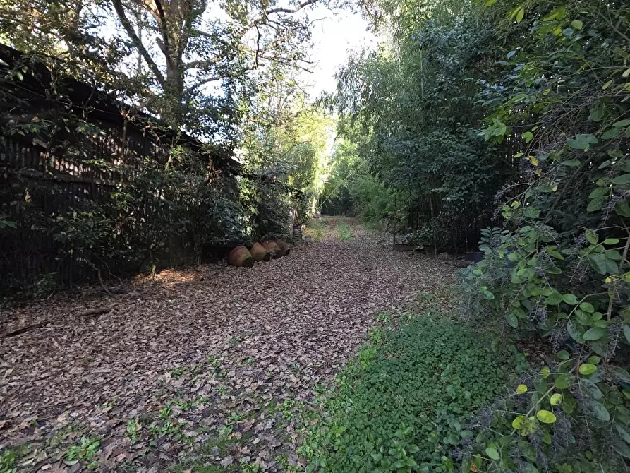 Immagine 6 di Terreno residenziale in vendita  a Capannori