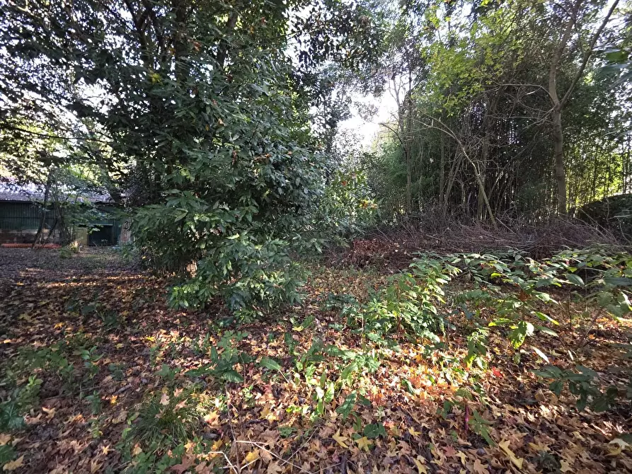 Immagine 21 di Terreno residenziale in vendita  a Capannori