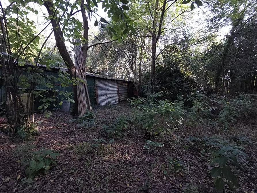 Immagine 17 di Terreno residenziale in vendita  a Capannori