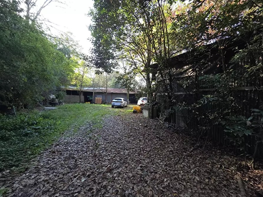 Immagine 5 di Terreno residenziale in vendita  a Capannori