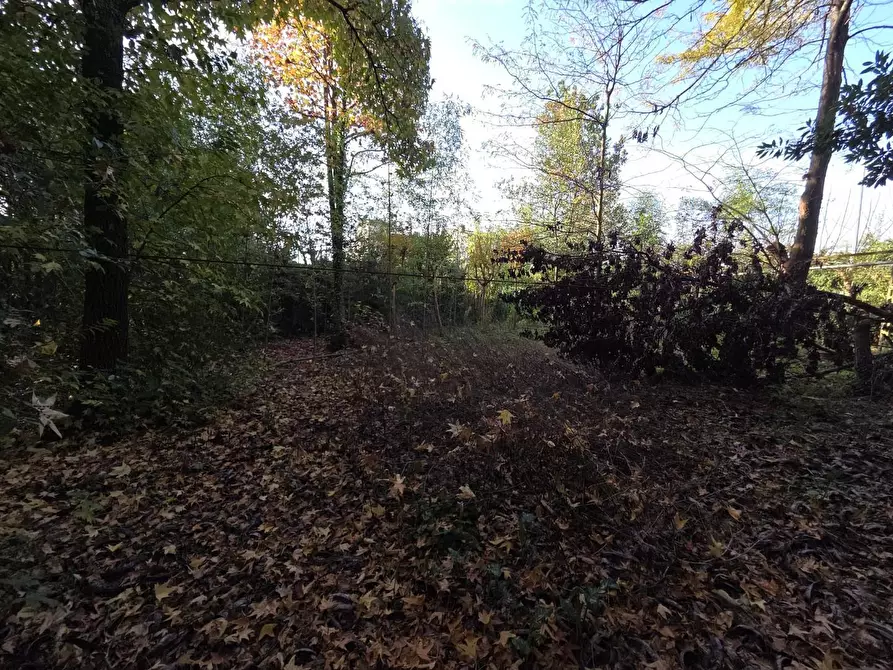 Immagine 1 di Terreno residenziale in vendita  a Capannori