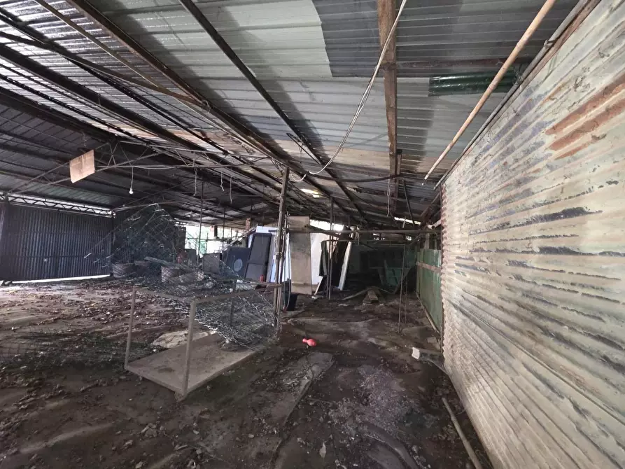 Immagine 15 di Terreno residenziale in vendita  a Capannori