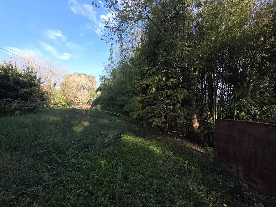 Immagine 2 di Terreno residenziale in vendita  a Capannori