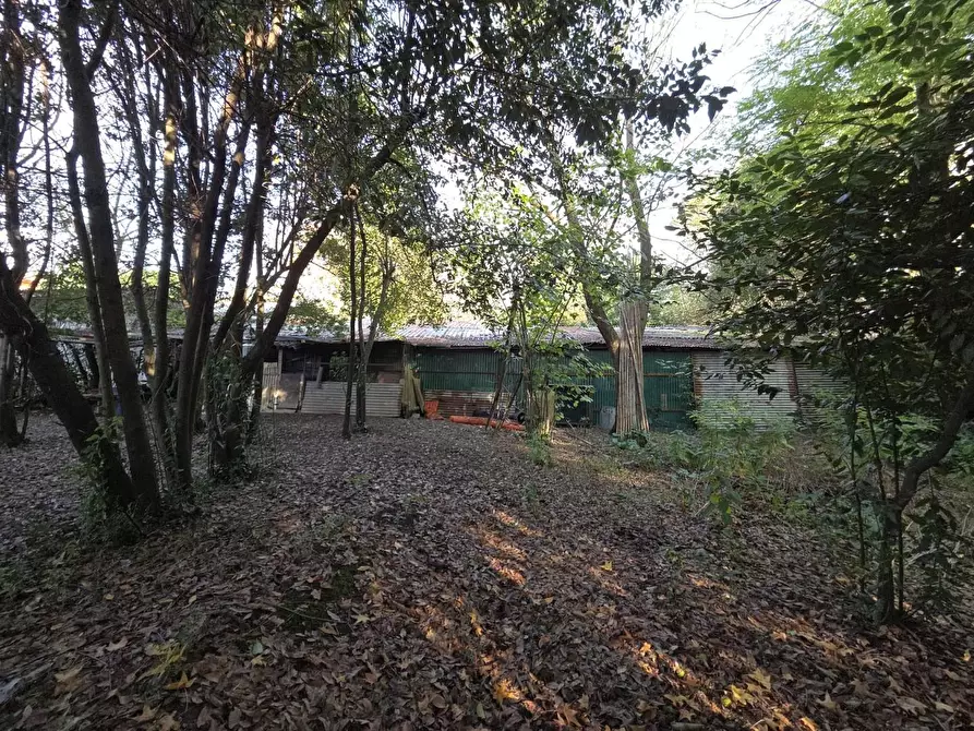 Immagine 18 di Terreno residenziale in vendita  a Capannori