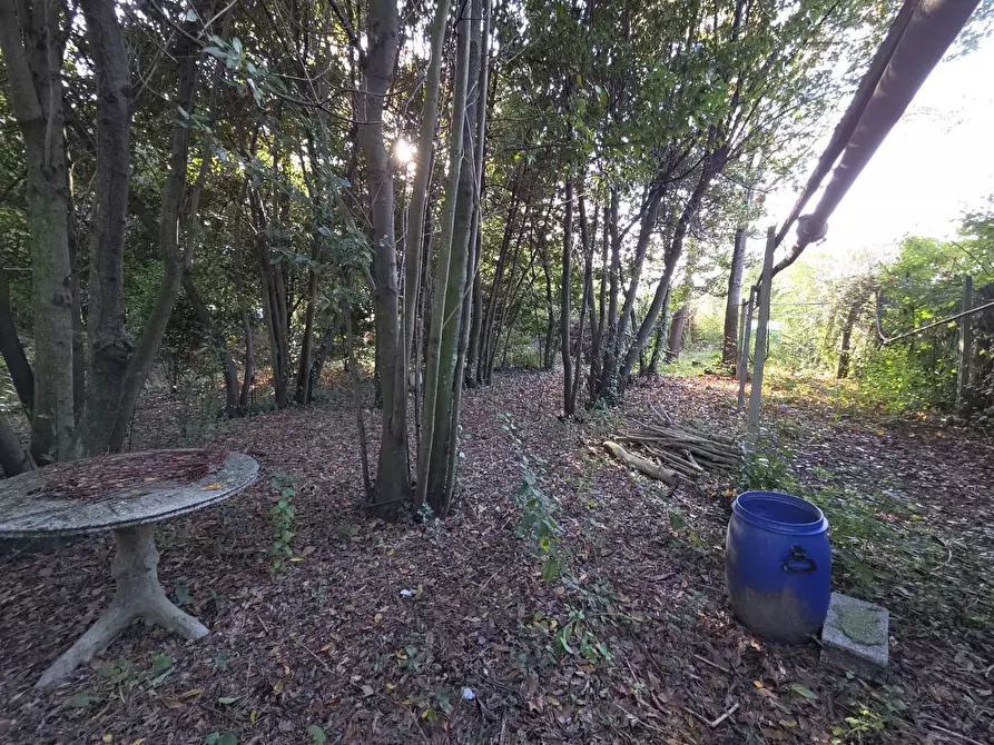 Immagine 16 di Terreno residenziale in vendita  a Capannori