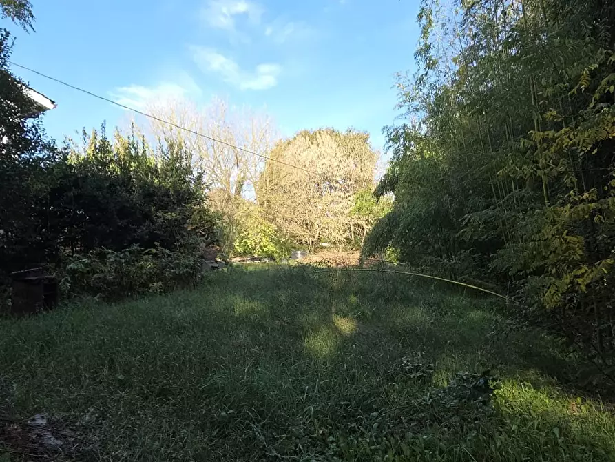 Immagine 3 di Terreno residenziale in vendita  a Capannori