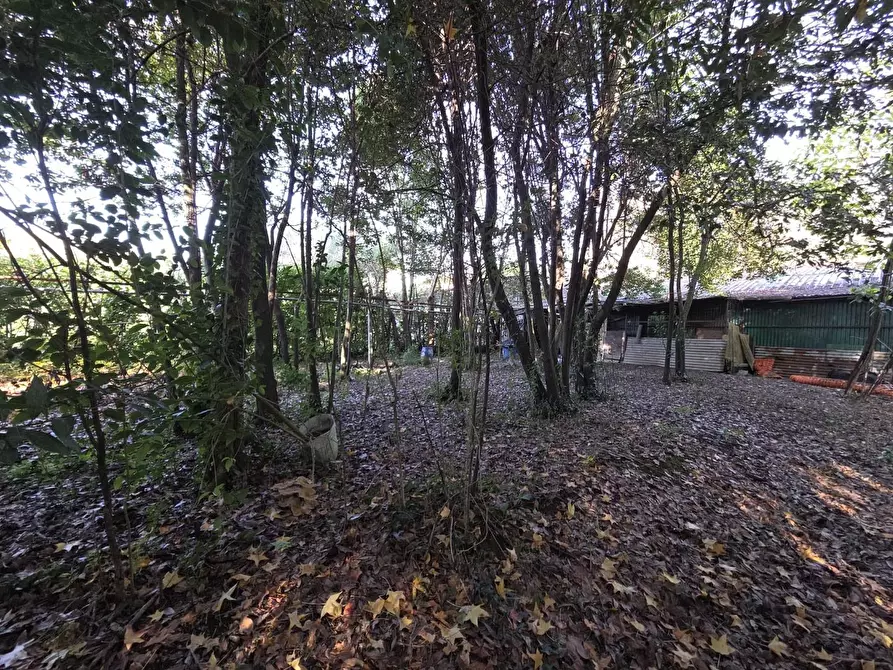 Immagine 19 di Terreno residenziale in vendita  a Capannori