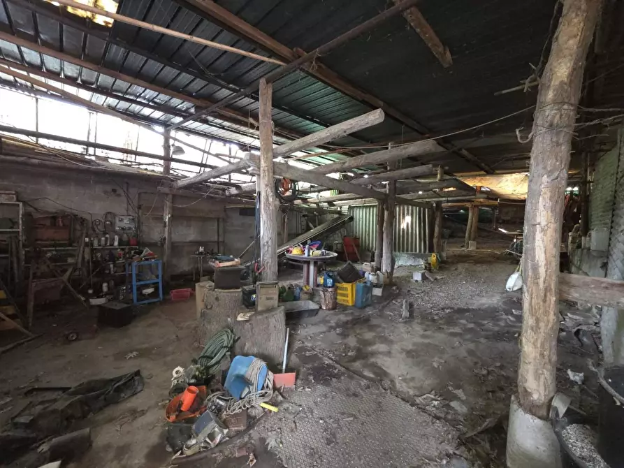 Immagine 11 di Terreno residenziale in vendita  a Capannori