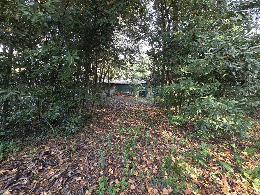 Immagine 20 di Terreno residenziale in vendita  a Capannori