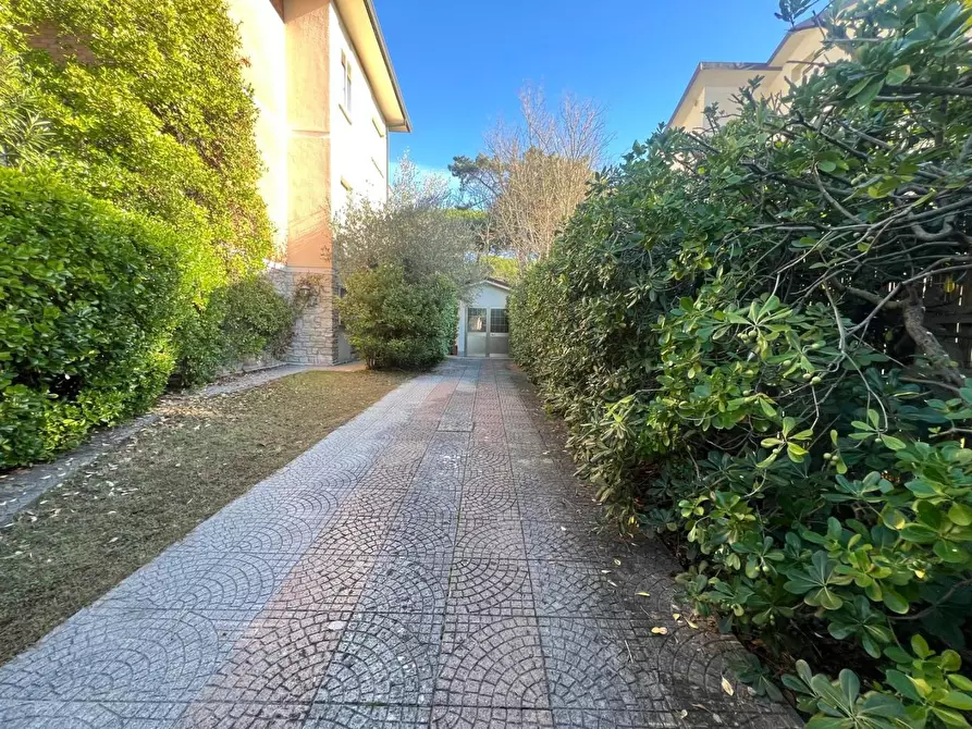 Immagine 41 di Appartamento in vendita  a Camaiore