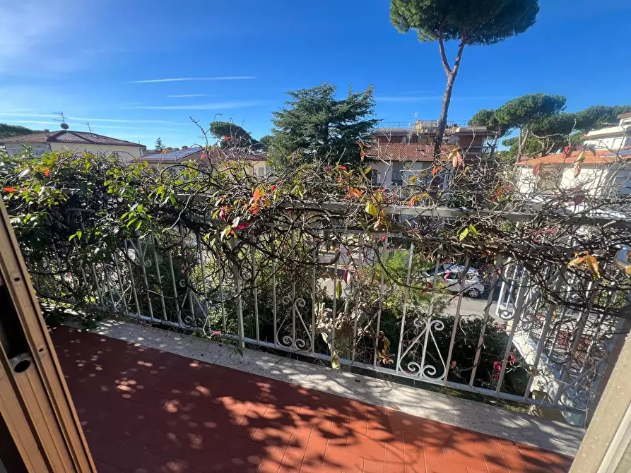 Immagine 30 di Appartamento in vendita  a Camaiore