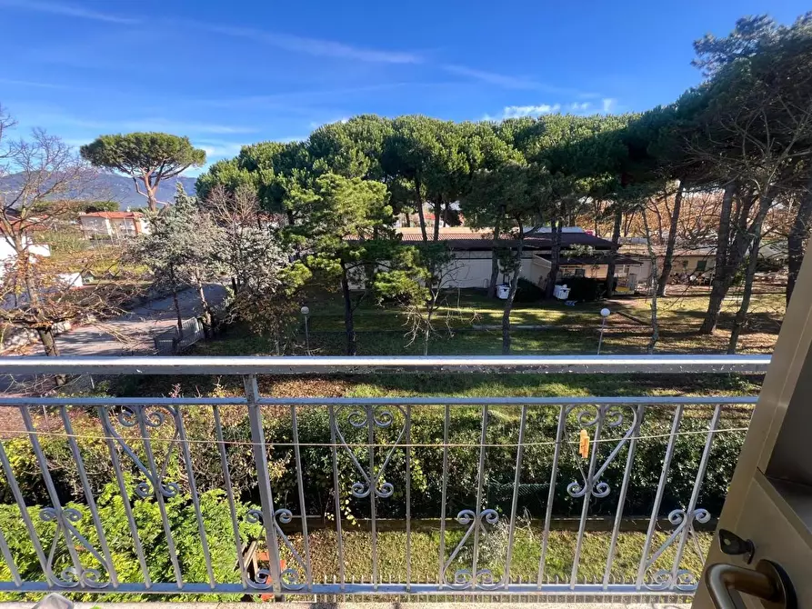 Immagine 19 di Appartamento in vendita  a Camaiore