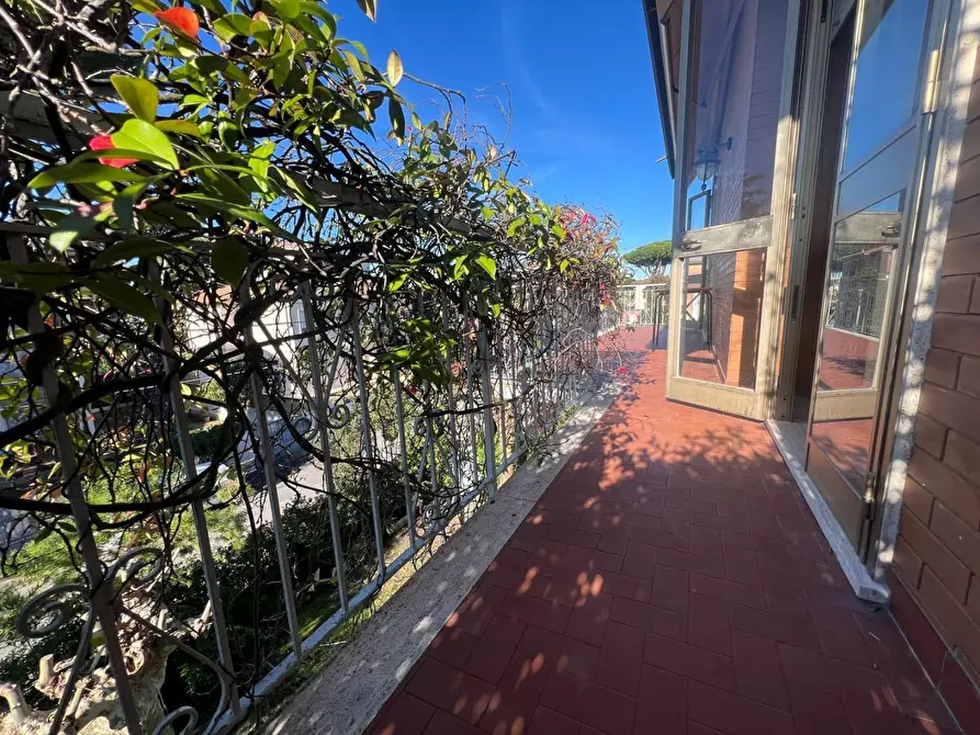 Immagine 31 di Appartamento in vendita  a Camaiore