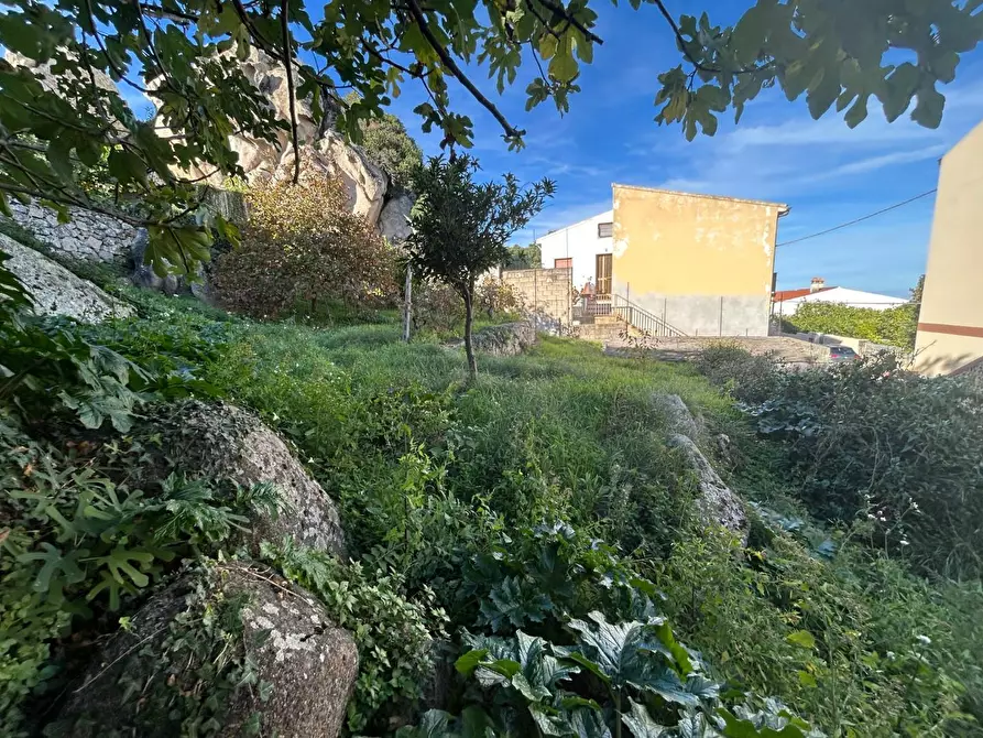 Immagine 13 di Terratetto in vendita  a Luogosanto