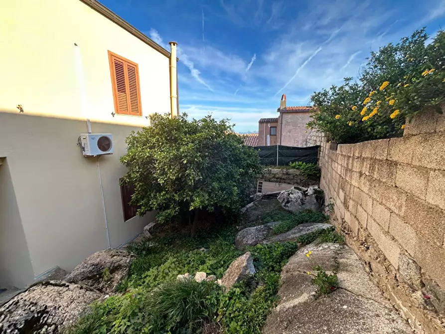 Immagine 9 di Terratetto in vendita  a Luogosanto