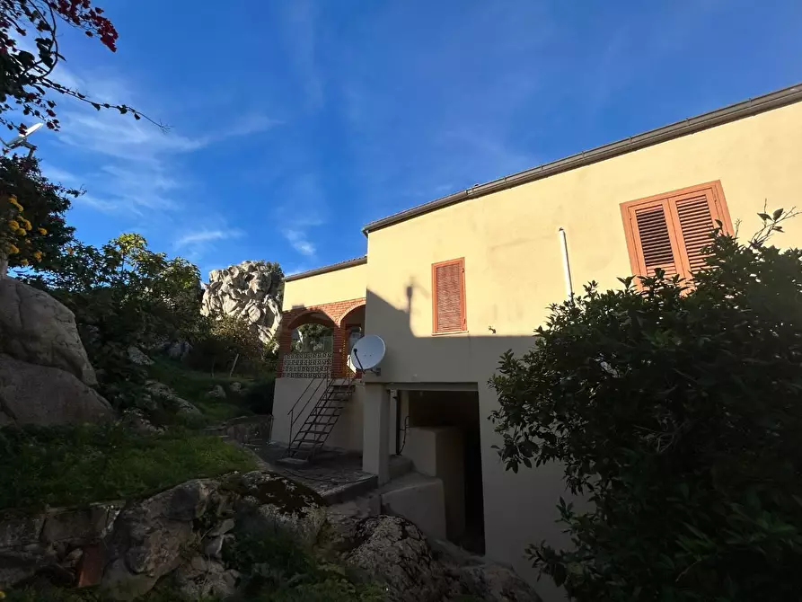 Immagine 8 di Terratetto in vendita  a Luogosanto