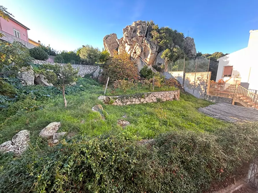 Immagine 53 di Terratetto in vendita  a Luogosanto