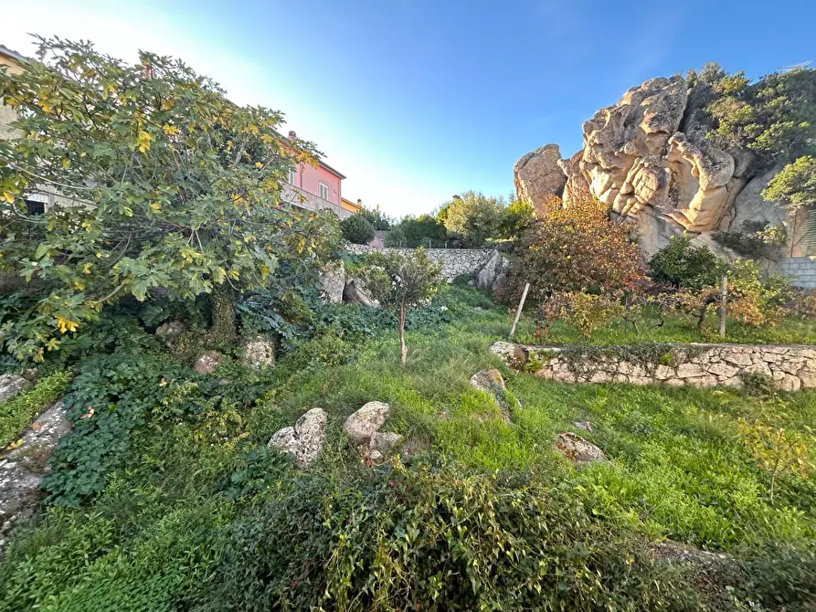 Immagine 55 di Terratetto in vendita  a Luogosanto