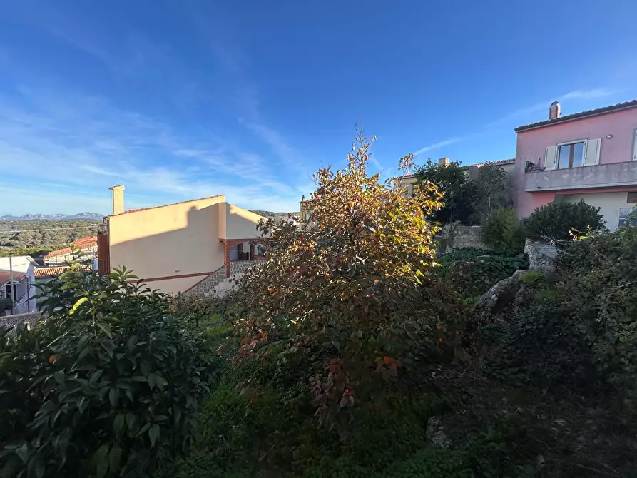 Immagine 68 di Terratetto in vendita  a Luogosanto