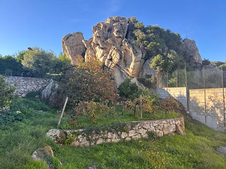 Immagine 54 di Terratetto in vendita  a Luogosanto