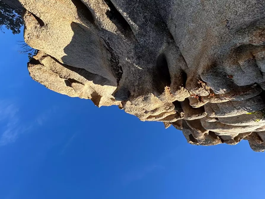Immagine 67 di Terratetto in vendita  a Luogosanto