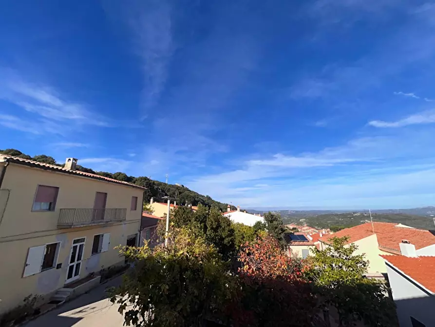 Immagine 3 di Terratetto in vendita  a Luogosanto