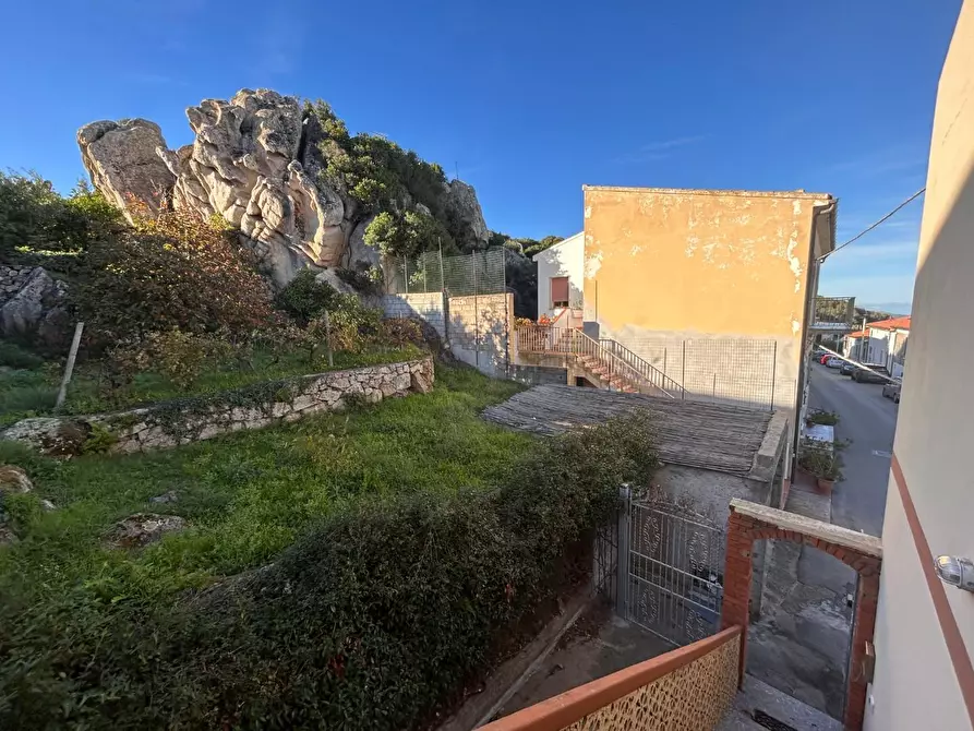 Immagine 52 di Terratetto in vendita  a Luogosanto