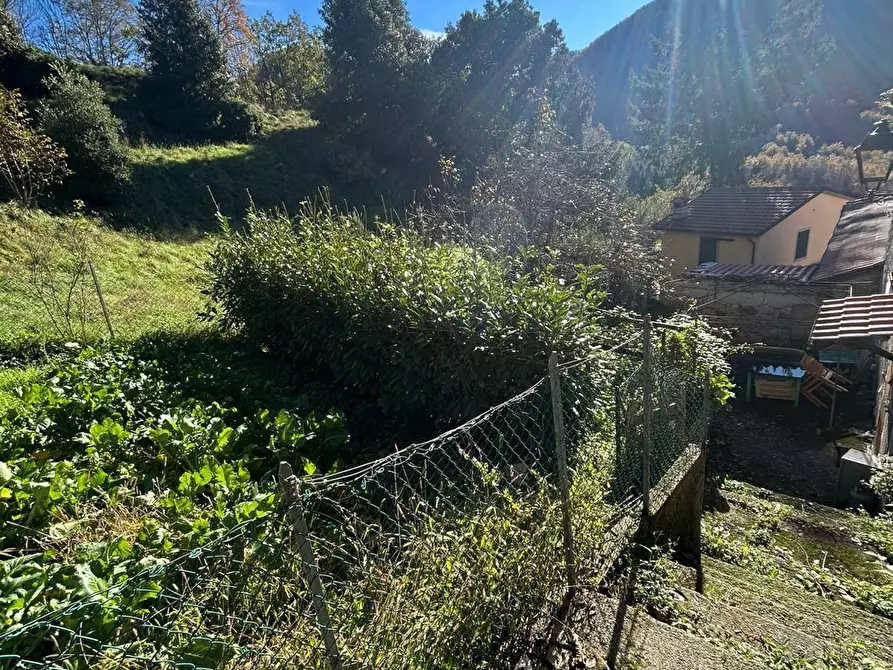 Immagine 37 di Terratetto in vendita  a Pescaglia