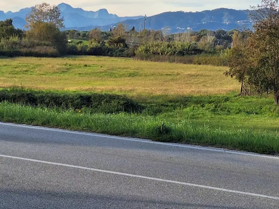 terreno agricolo in vendita a Capannori