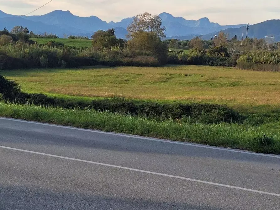 Immagine 2 di Terreno agricolo in vendita  a Capannori