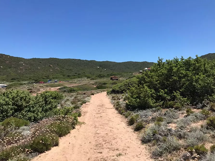 Immagine 45 di Casa colonica in vendita  a Trinità D'agultu E Vignola