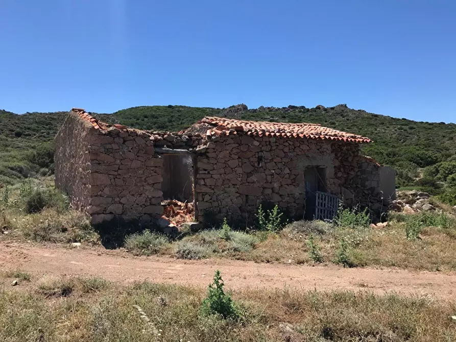 Immagine 6 di Casa colonica in vendita  a Trinità D'agultu E Vignola