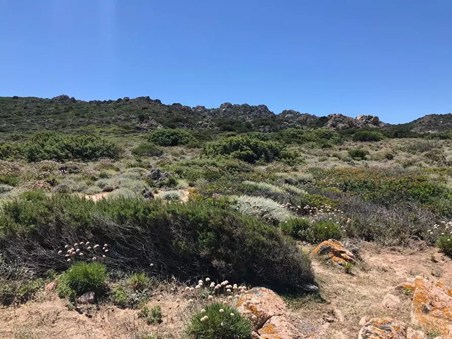 Immagine 31 di Casa colonica in vendita  a Trinità D'agultu E Vignola