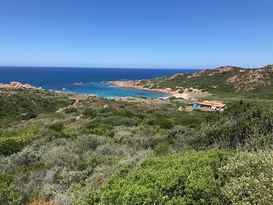 Immagine 52 di Casa colonica in vendita  a Trinità D'agultu E Vignola