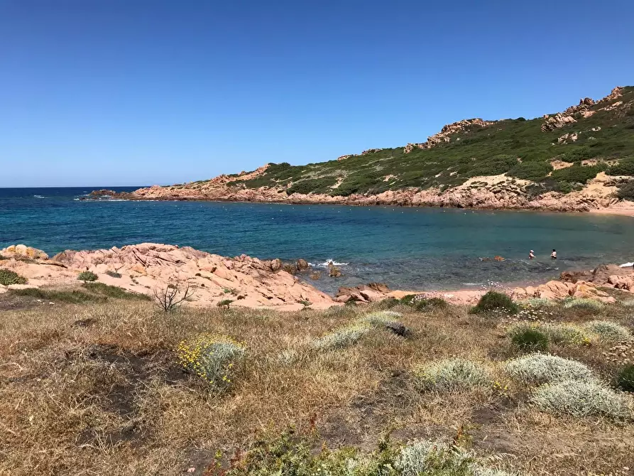 Immagine 12 di Casa colonica in vendita  a Trinità D'agultu E Vignola