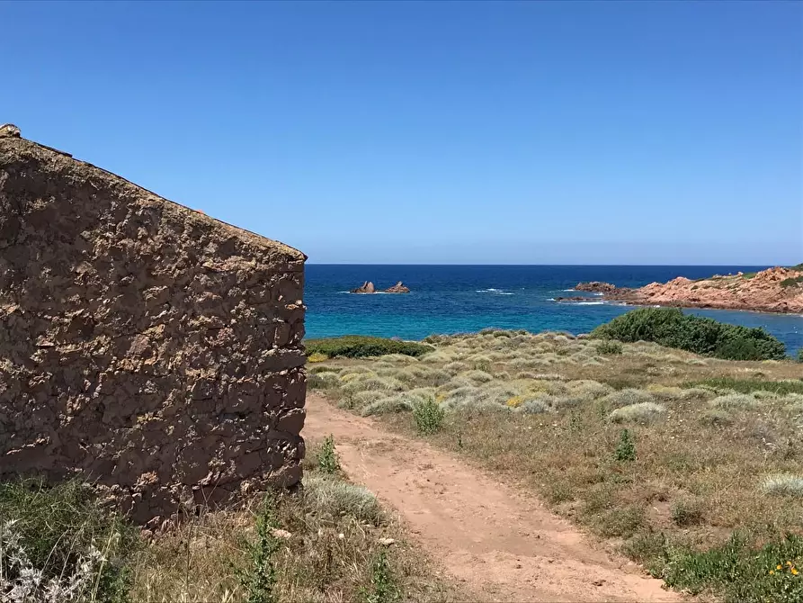 Immagine 7 di Casa colonica in vendita  a Trinità D'agultu E Vignola