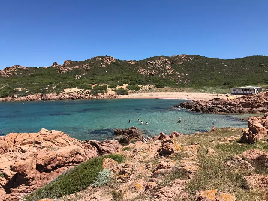 Immagine 16 di Casa colonica in vendita  a Trinità D'agultu E Vignola