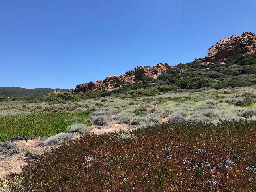 Immagine 42 di Casa colonica in vendita  a Trinità D'agultu E Vignola