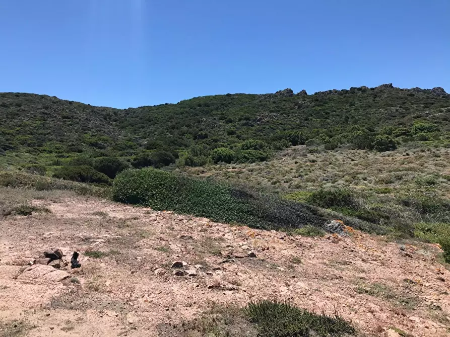 Immagine 26 di Casa colonica in vendita  a Trinità D'agultu E Vignola