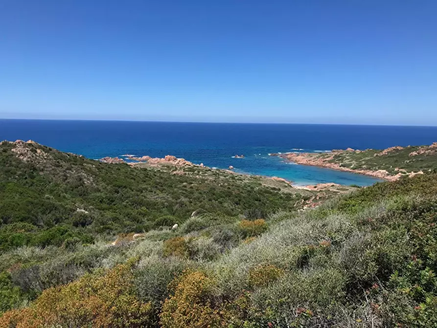 Immagine 56 di Casa colonica in vendita  a Trinità D'agultu E Vignola