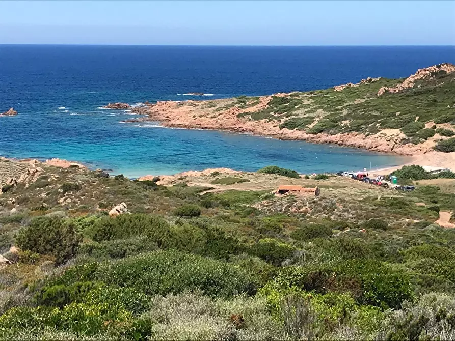 Immagine 55 di Casa colonica in vendita  a Trinità D'agultu E Vignola